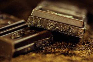 Le chocolat est toxique pour le chien