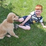 10 races de chiens adaptées aux enfants