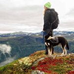 randonnée avec son chien