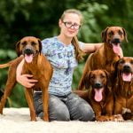 Bien choisir son élevage canin