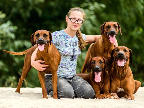 Choisir un élevage canin : 9 questions à poser à lu0027éleveur