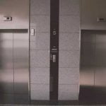 mon chien a peur de l'ascenseur