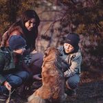 famille d'accueil pour chien