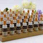 fleurs de bach pour chien