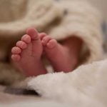 préparer son chien à l'arrivée d'un bébé