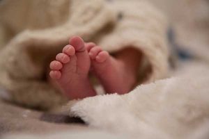 préparer son chien à l'arrivée d'un bébé