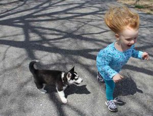 avoir peur des chiens