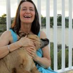 les solutions de garde d'animaux