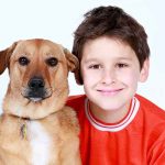 chien et enfant les règles