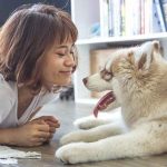 gagner la confiance d'un chien