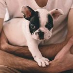 rituels à adopter avec son chien