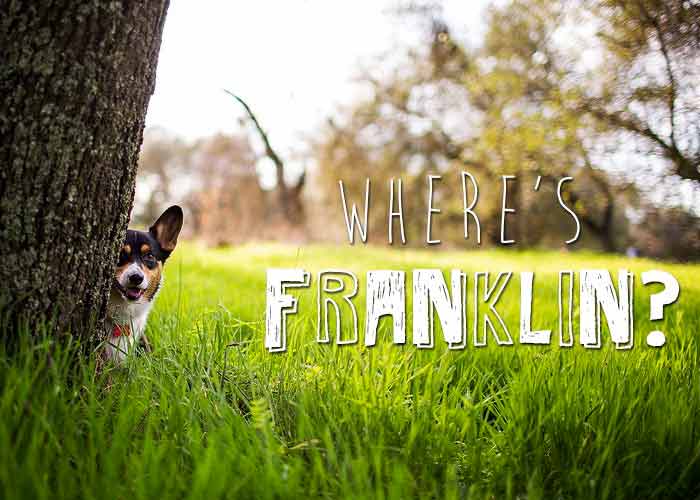 Le jeu "où est Franklin?"