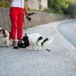 L'ADN des chiens utilisé pour identifier les propriétaires qui ne ramassent pas leurs crottes