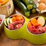 Alimentation naturelle pour chien