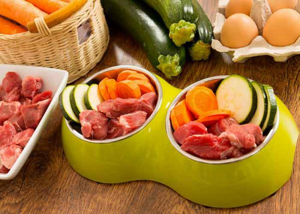 Alimentation maison pour chien - Toutoupourlechien.com