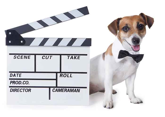 les chiens stars du festival de Cannes