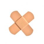 formation premier secours pour chien