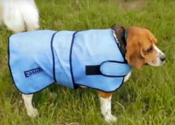 manteau pour chien très chaud