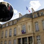 Philae, chien de François Hollande