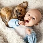 Un bébé et un chien