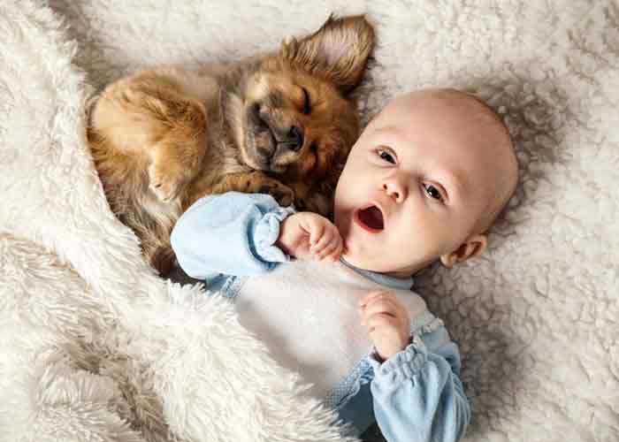 Un bébé et un chien