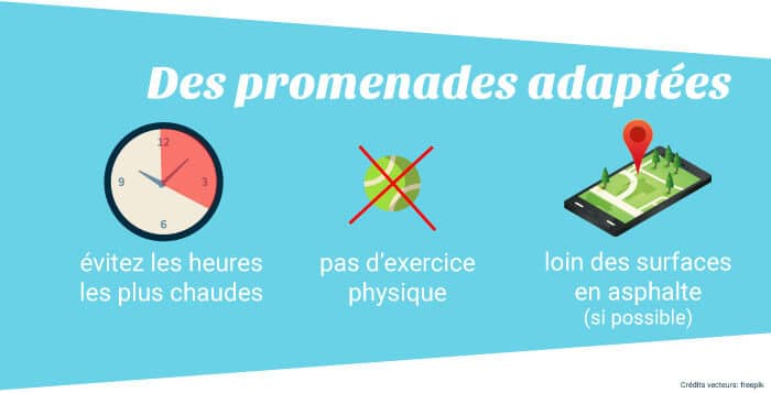promenades adaptées