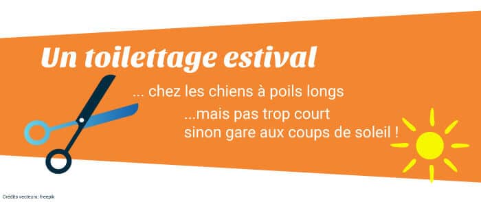 un toilettage estival