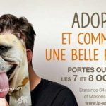 Affiche journées portes ouvertes SPA octobre 2017