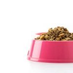 choisir ses croquettes pour chien