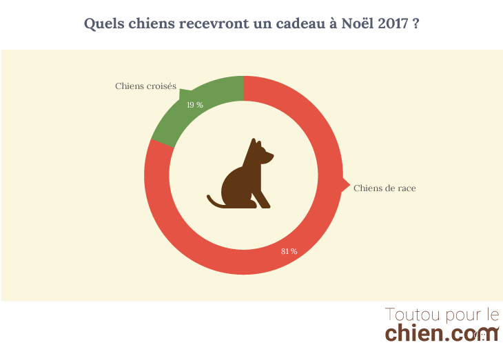 Grahphique chien croisé vs chien de race