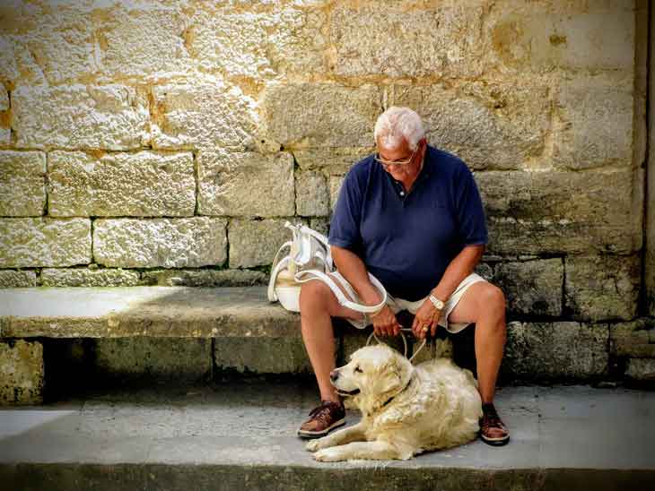 Avoir un chien réduirait la mortalité