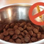 croquettes sans céréales pour chien