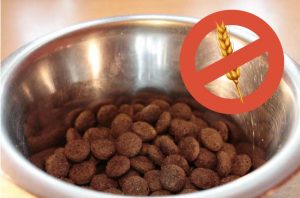 croquettes sans céréales pour chien
