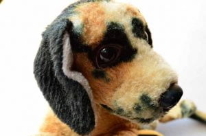 chien en peluche