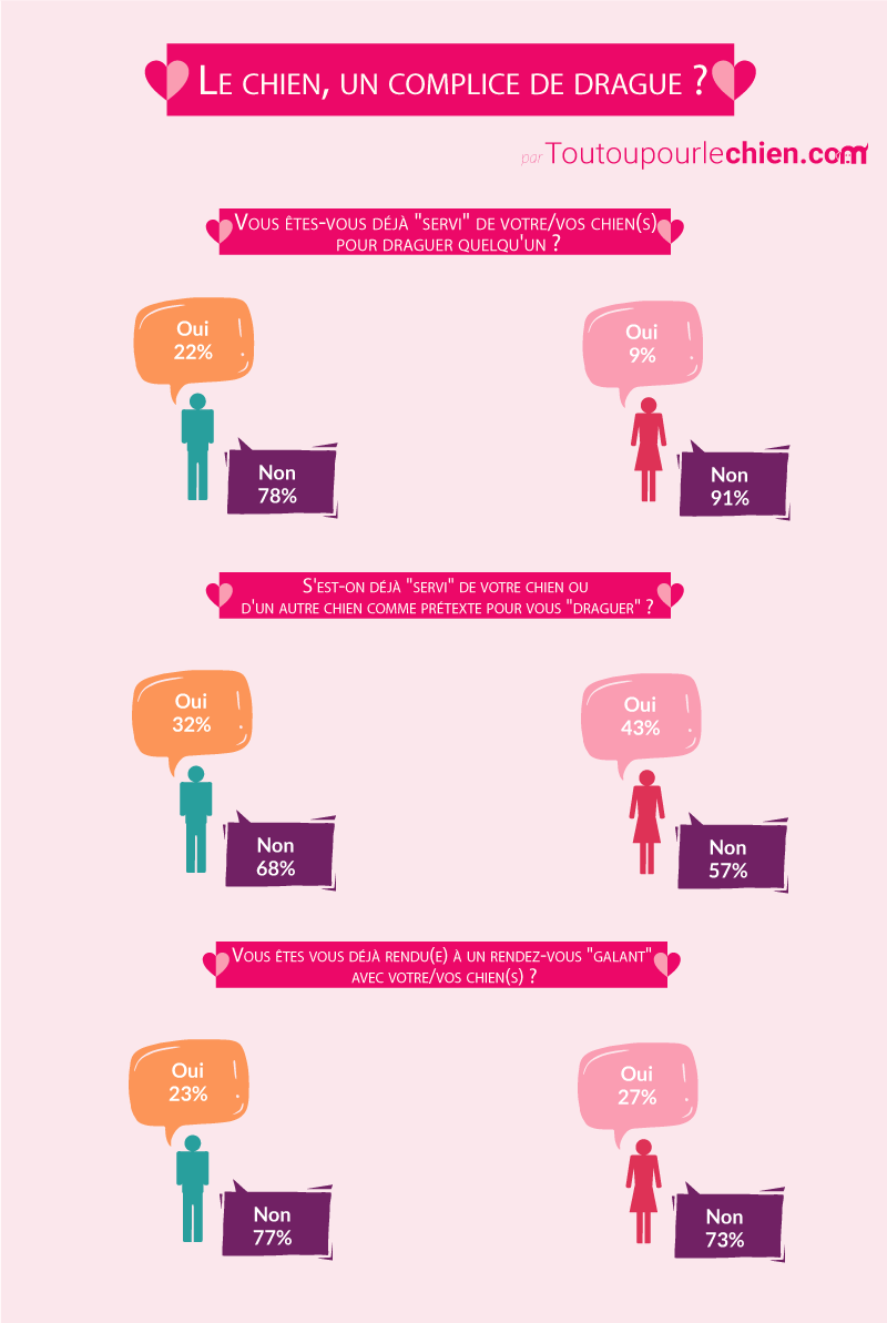 infogographie le chien et la drague