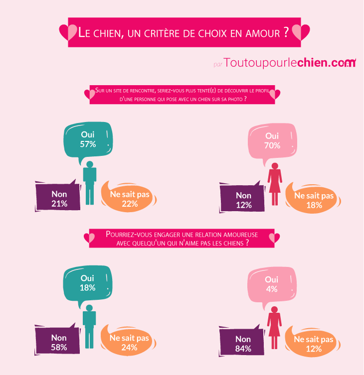 infographie chien critère de choix en amour