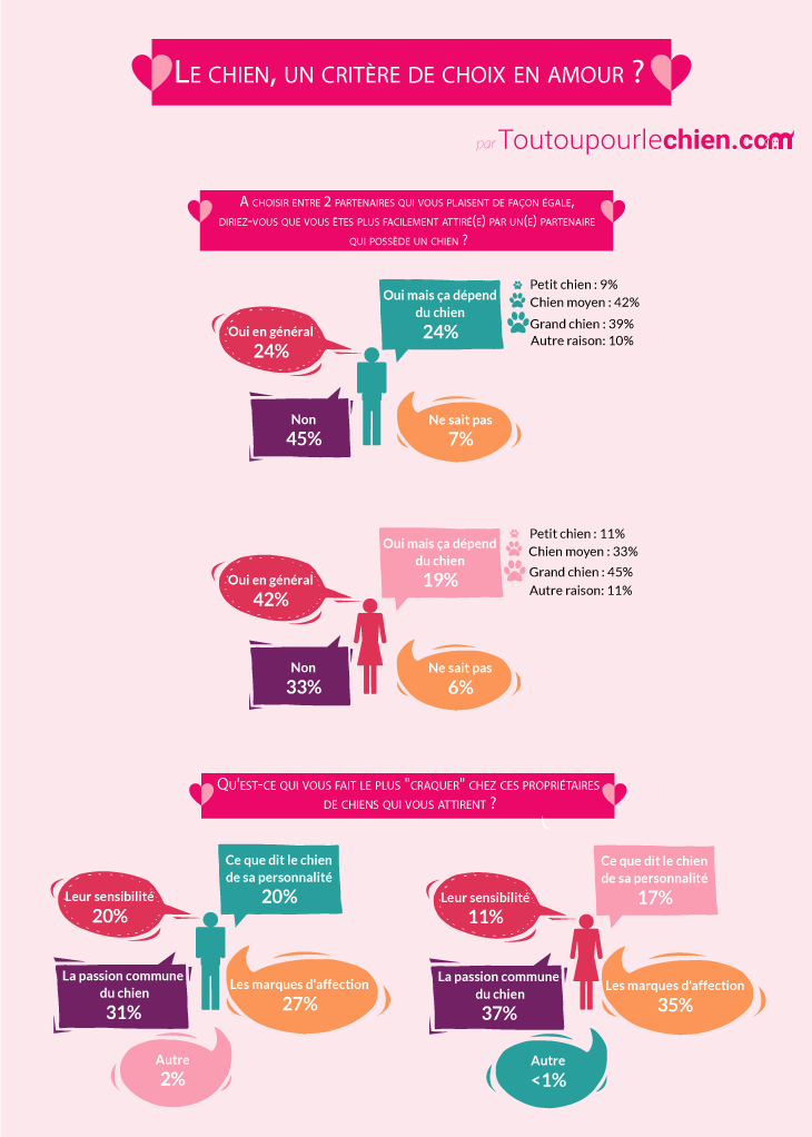 infographie le chien un critère de compatibilité amoureuse