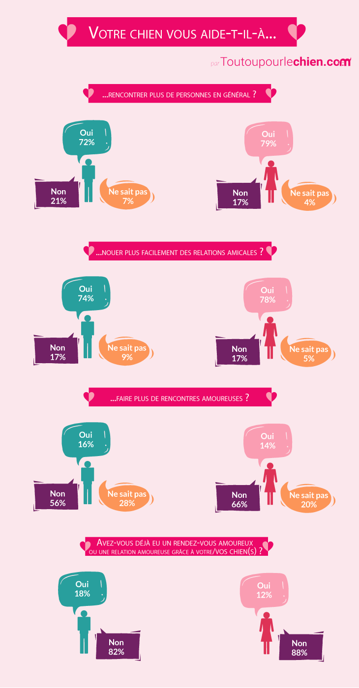 infographie le chien allié des rencontres