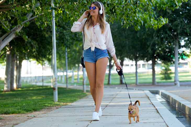 Aimer la même musique que son chien