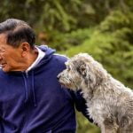 chien pour personne âgée