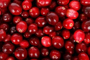 La cranberry pour le chien
