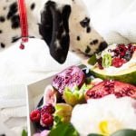 Des fruits pour chien