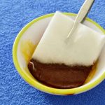 Désinfectant pour chien