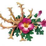 L'harpagophytum pour chien