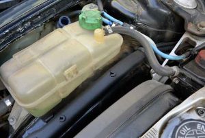 Intoxication du chien à l'antigel