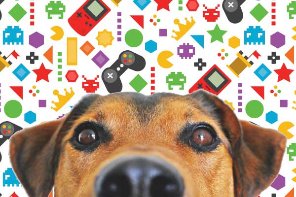 Les jeux vidéos éducatifs pour chien