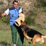 pratiquer le rci avec son chien