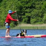 Pratiquer le cani-paddle