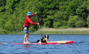 Pratiquer le cani-paddle