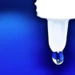 Le collyre pour chien